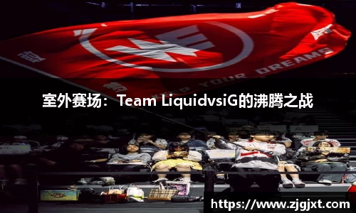 室外赛场：Team LiquidvsiG的沸腾之战