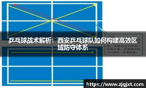 乒乓球战术解析：西安乒乓球队如何构建高效区域防守体系