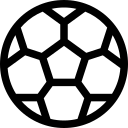 顾彩会